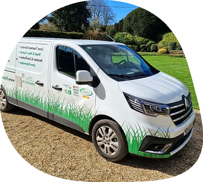 Lawn Treatment Hove