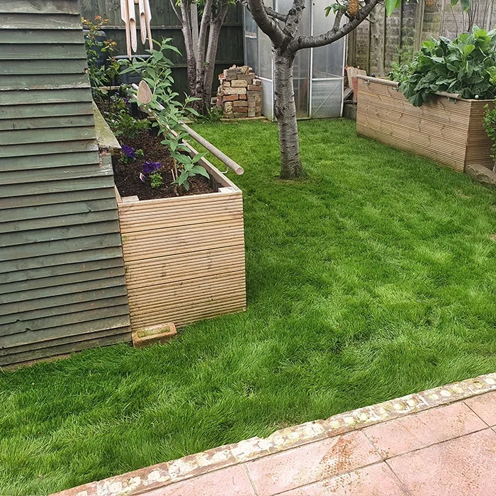 Lawn Renovation Hove