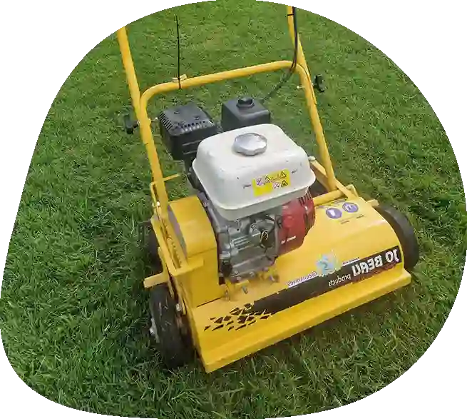 Lawn Scarification Hangelton