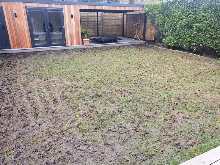 Lawn Services Hove