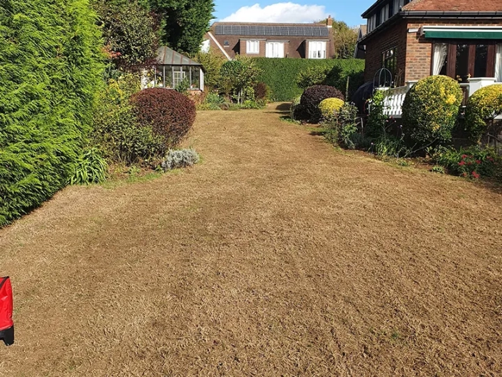 Lawn Services Portslade