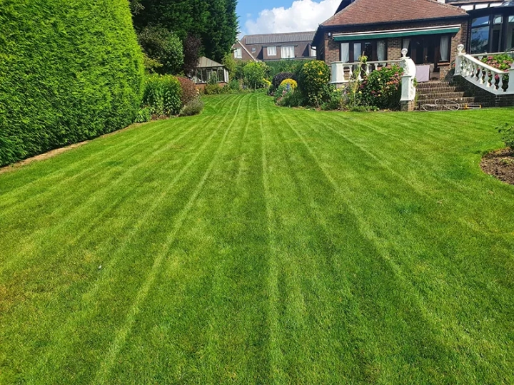 Lawn Services Brighton