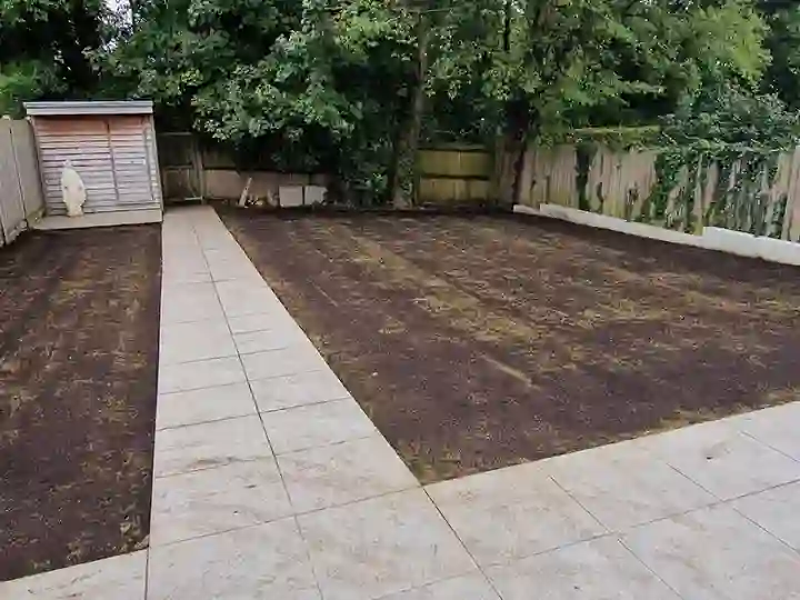 Lawn treatments brighton