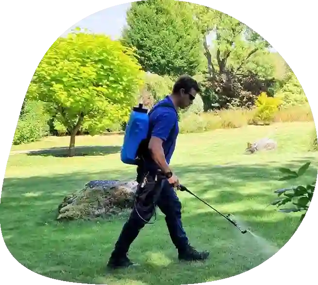 Lawn Care Treatments Southwick